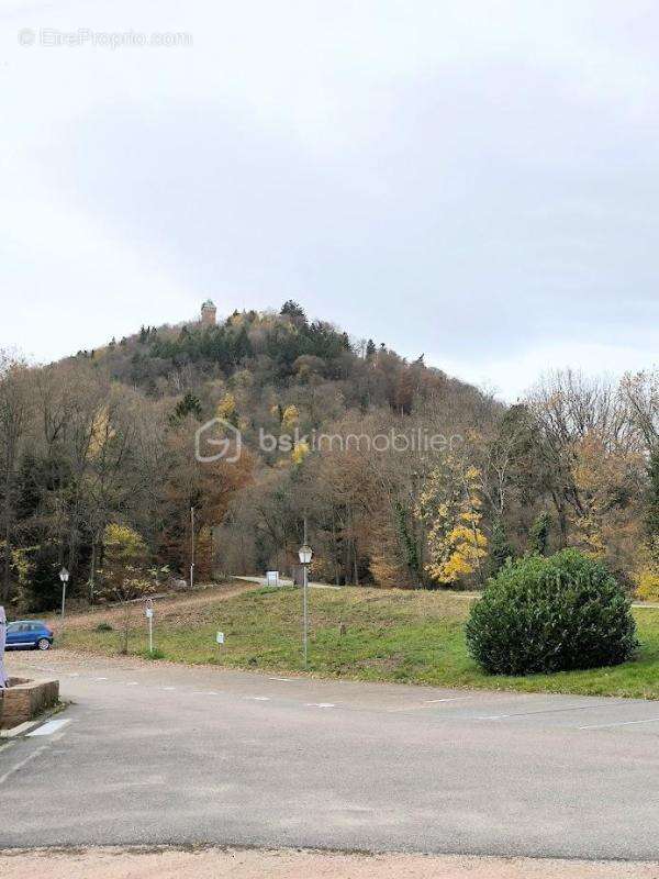 Appartement à ORSCHWILLER