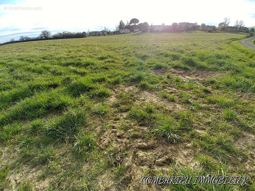 RARE Terrain Caussade 1ha 3311 m2 - photo 3