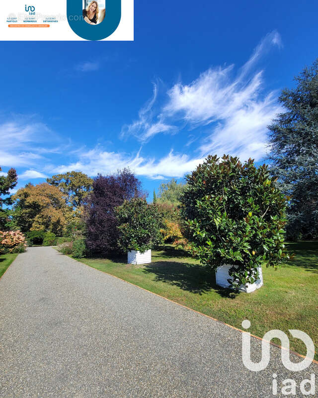 Photo 4 - Maison à MORCENX