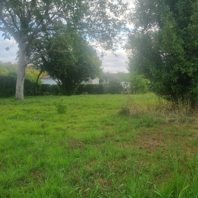 Photo 1 - Terrain à TOURS