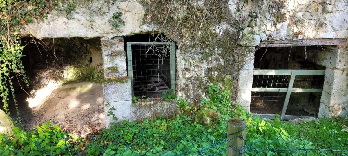 Maison troglodytique  avec caves et terrains - photo 6