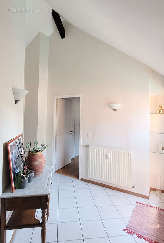 Appartement à THONES