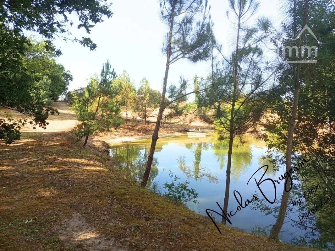 En exclusivité – Ensemble immobilier avec deux habitations, étang et près d’un hectare de terrain - photo 10
