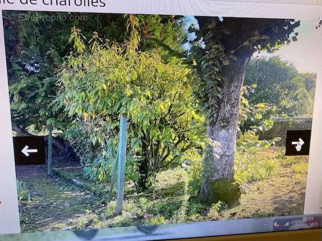 Maison à CHAROLLES