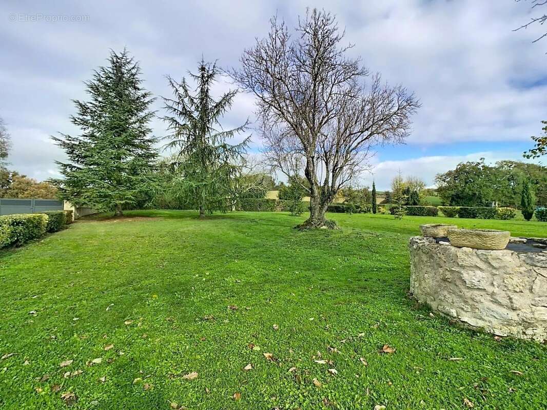 Photo 7 - Maison à ORDAN-LARROQUE