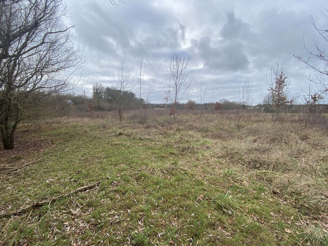 Terrain à AGEN