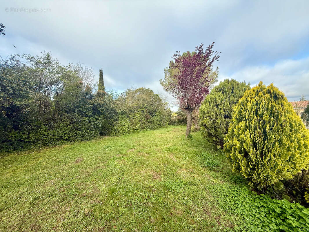 Maison à L'ISLE-JOURDAIN