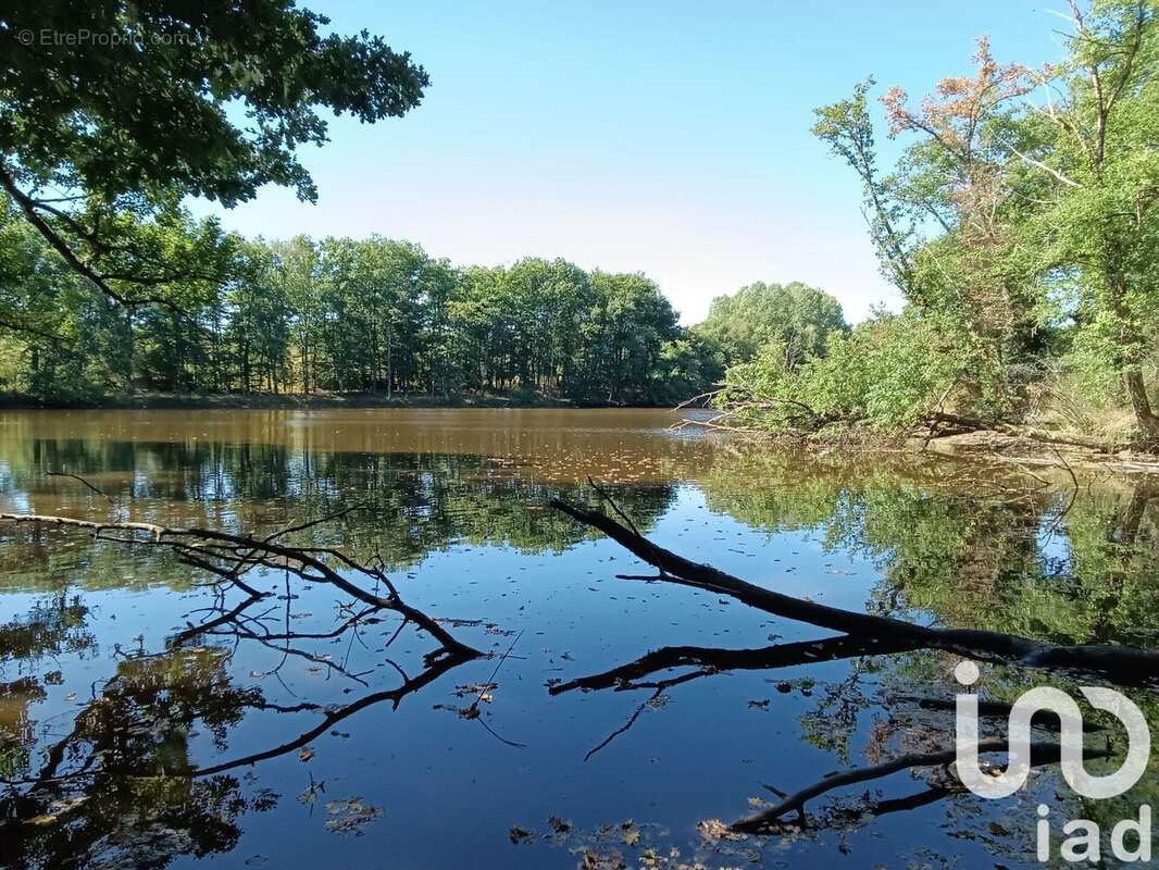 Photo 2 - Terrain à BORD-SAINT-GEORGES