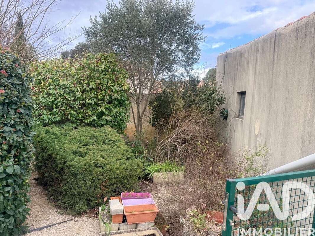 Photo 9 - Maison à SERIGNAN-DU-COMTAT