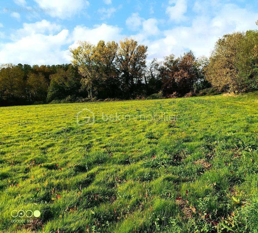 Terrain à AIRE-SUR-L'ADOUR