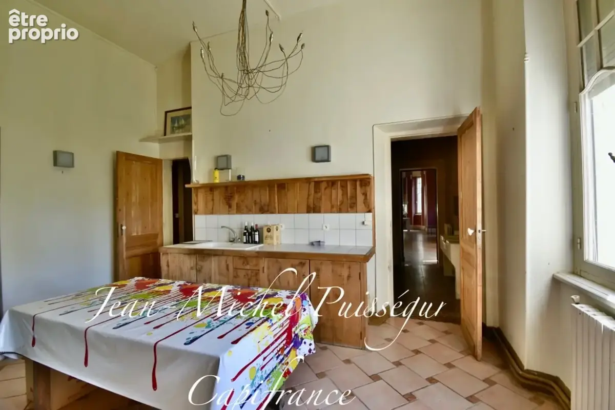 Dpt Haute Garonne (31), à Vendre à SAINT GAUDENS Manoir 12 pièces de 350 m² Vue Pyrénées Terrain de 10.000m² - photo 4