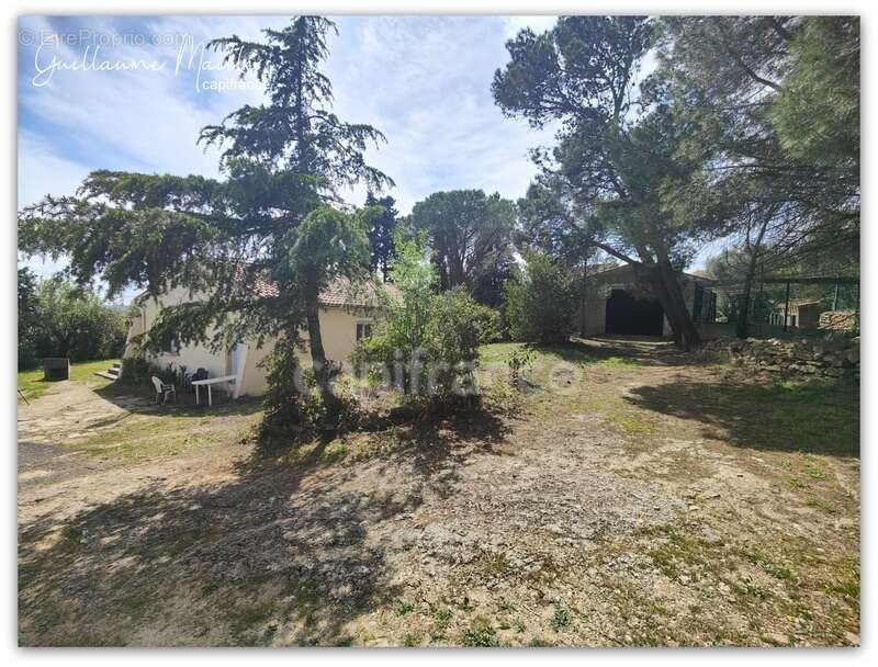 Exclusivité - Villa de plain-pied 4 pièces 95m² sur grand terrain constructible à Neffiès (34320) - photo 2