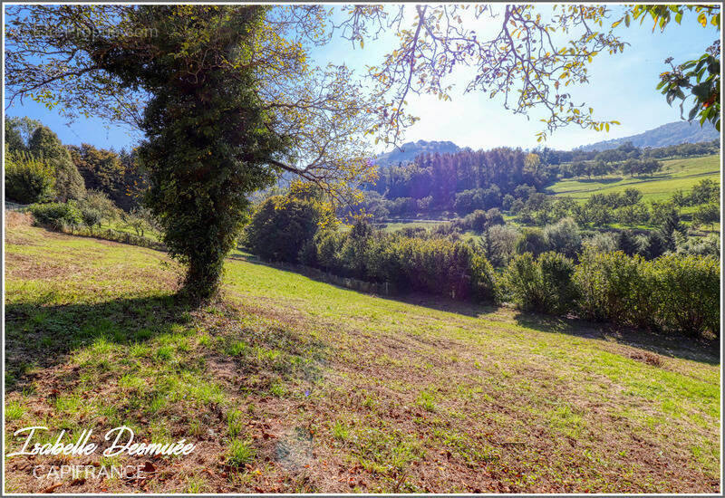 Terrain à SAINT-PAUL-D'IZEAUX