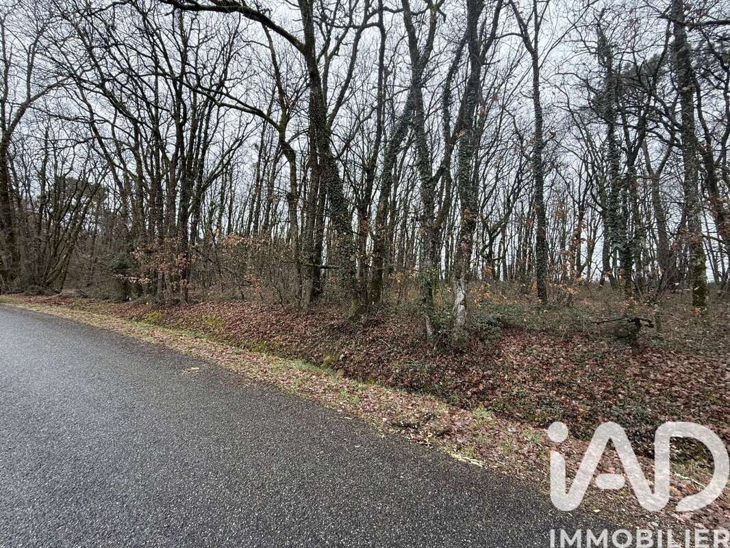 Photo 4 - Terrain à VILLEMUR-SUR-TARN