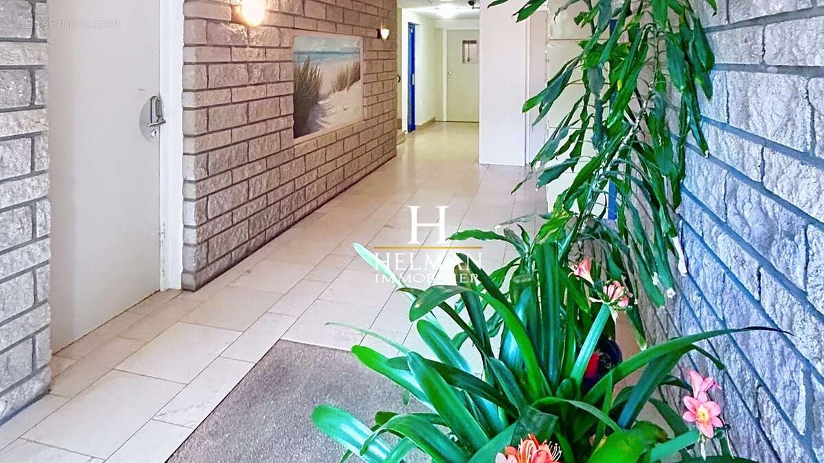 Appartement à DUNKERQUE
