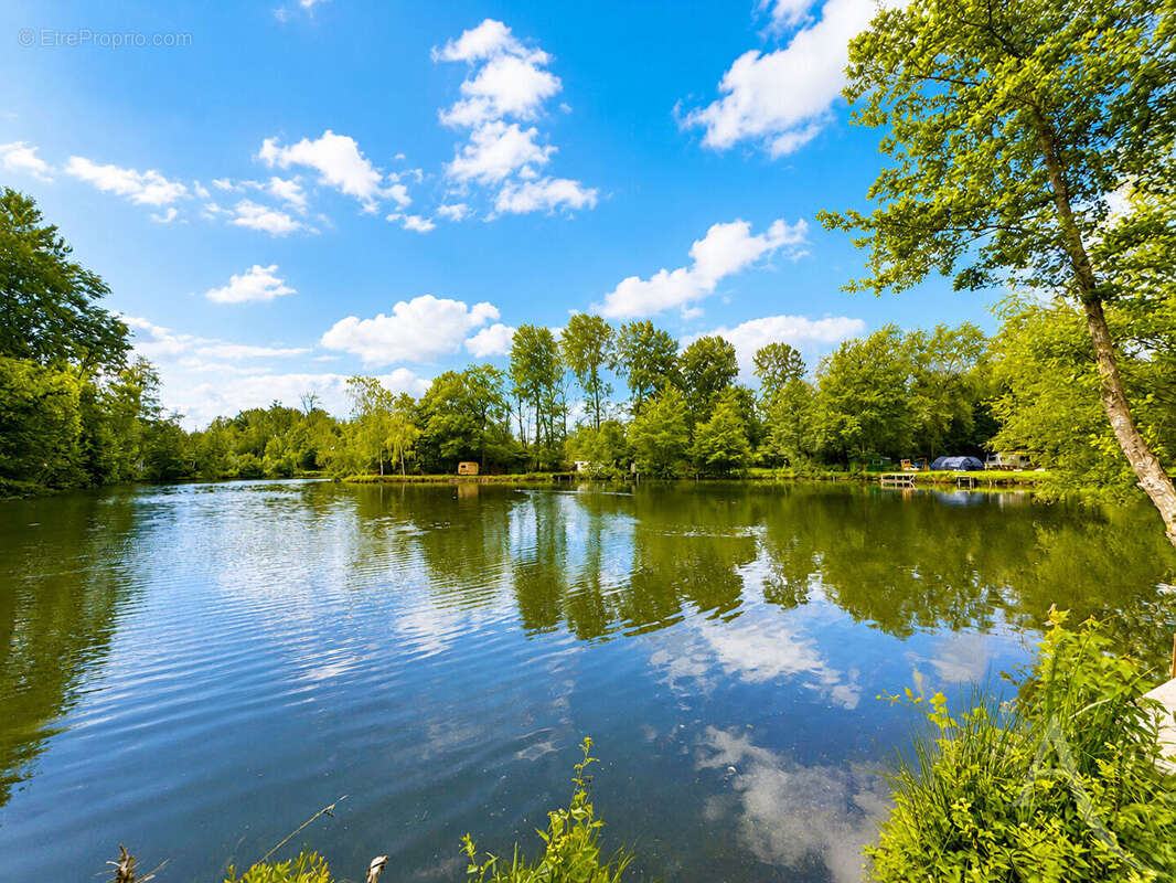 Exceptionnel domaine nature de près de 3 hectares avec étangs et rivière - photo 4