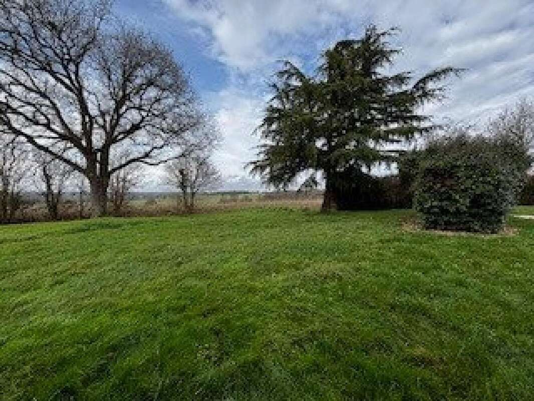 Photo 4 - Maison à LOCHES