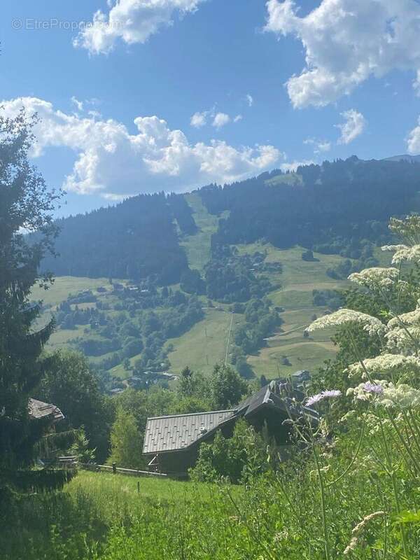 Terrain avec permis pour 2 chalets - photo 2