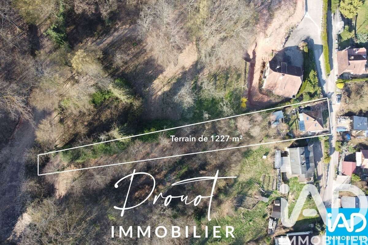 Maison 46 m² à Mollkirch  - photo 5