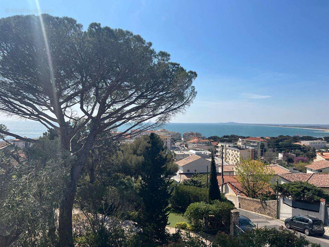 Villa Sete proche des plages - photo 2