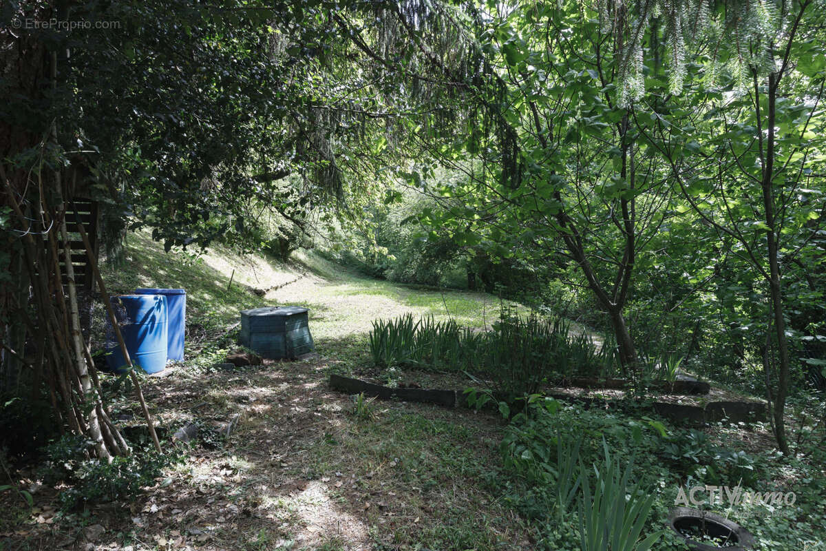 Propriété avec plusieurs appartement et terrain - photo 3