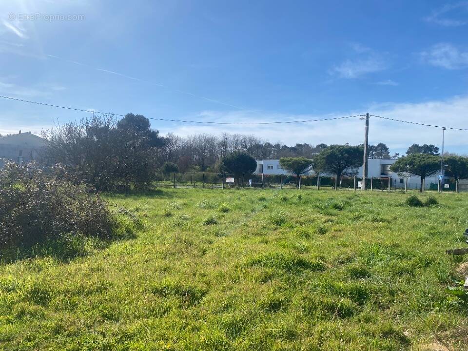 Terrain à LE TAILLAN-MEDOC