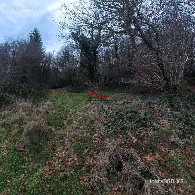 Maison à SAINT-PARDOUX-MORTEROLLES