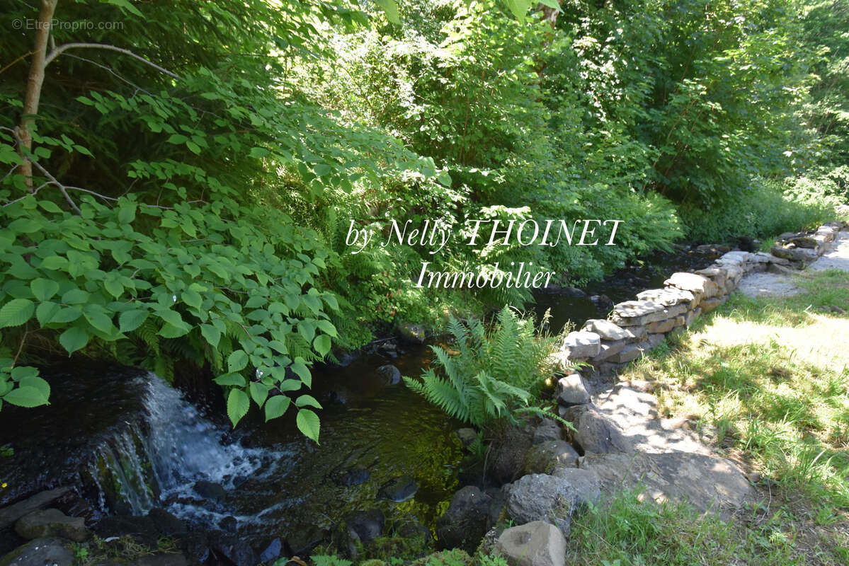 Maison à BESSE-ET-SAINT-ANASTAISE