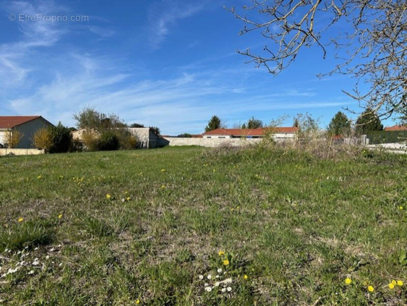 Terrain à MARTRES-SUR-MORGE