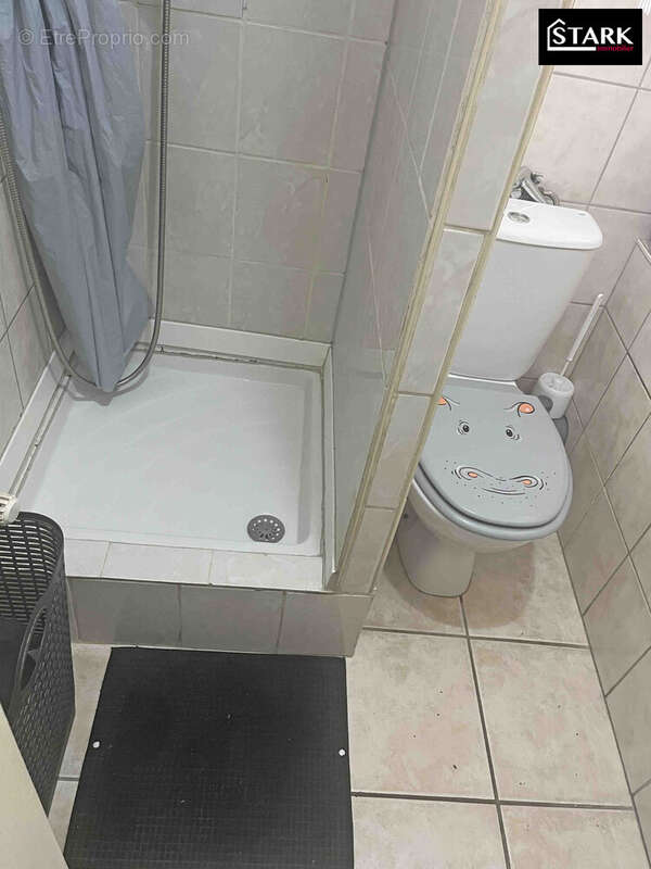 Appartement 223 m² à Mulhouse  - photo 6