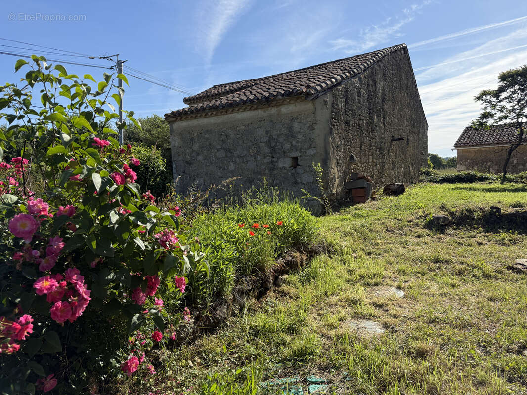 Secteur condom—maison de hameau avec dependances sur 1658m2 - photo 29