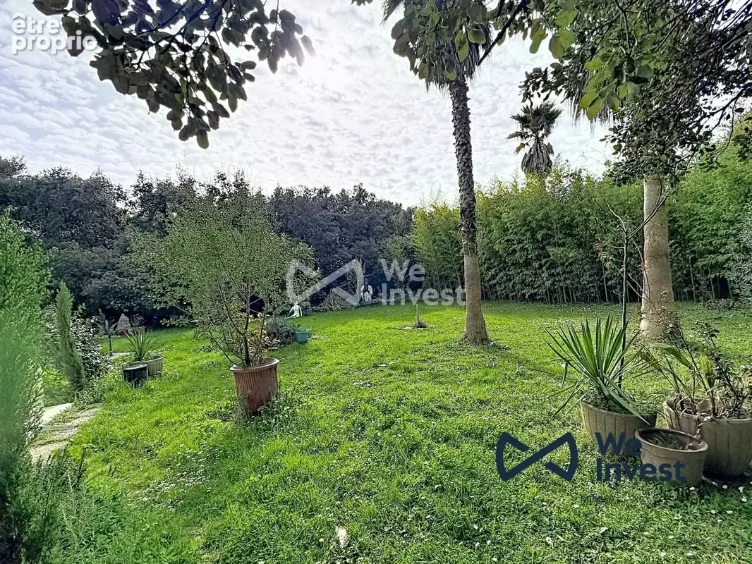 Maison 6 pièces 159 m² à vendre à Castelnau-Le-Lez (34170) - photo 2