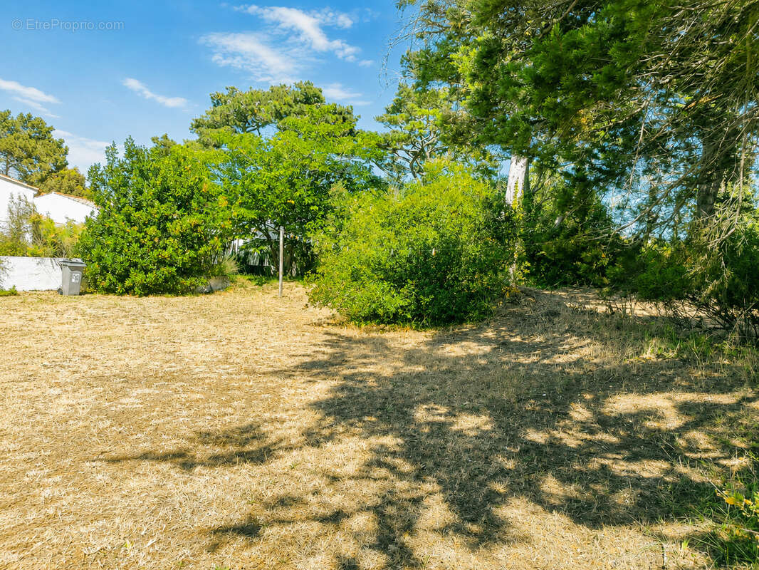 Noirmoutier en l'Ile - l'Herbaudière. Maison 4 ch  sur une parcelle de 845 m2. 530 000 € FAI - photo 2
