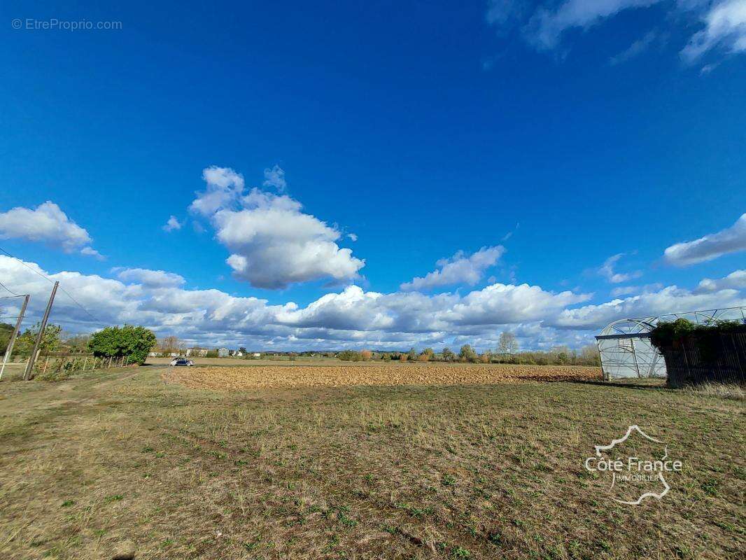 Terrain à LONGUEVILLE