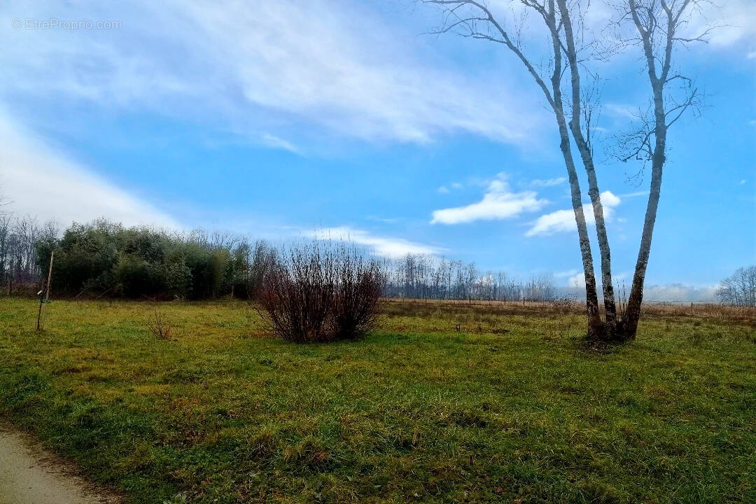 Maison à BOIS-DE-GAND