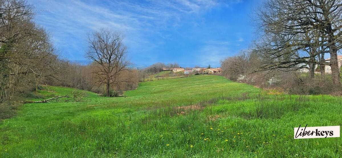 Terrain à MONTFA