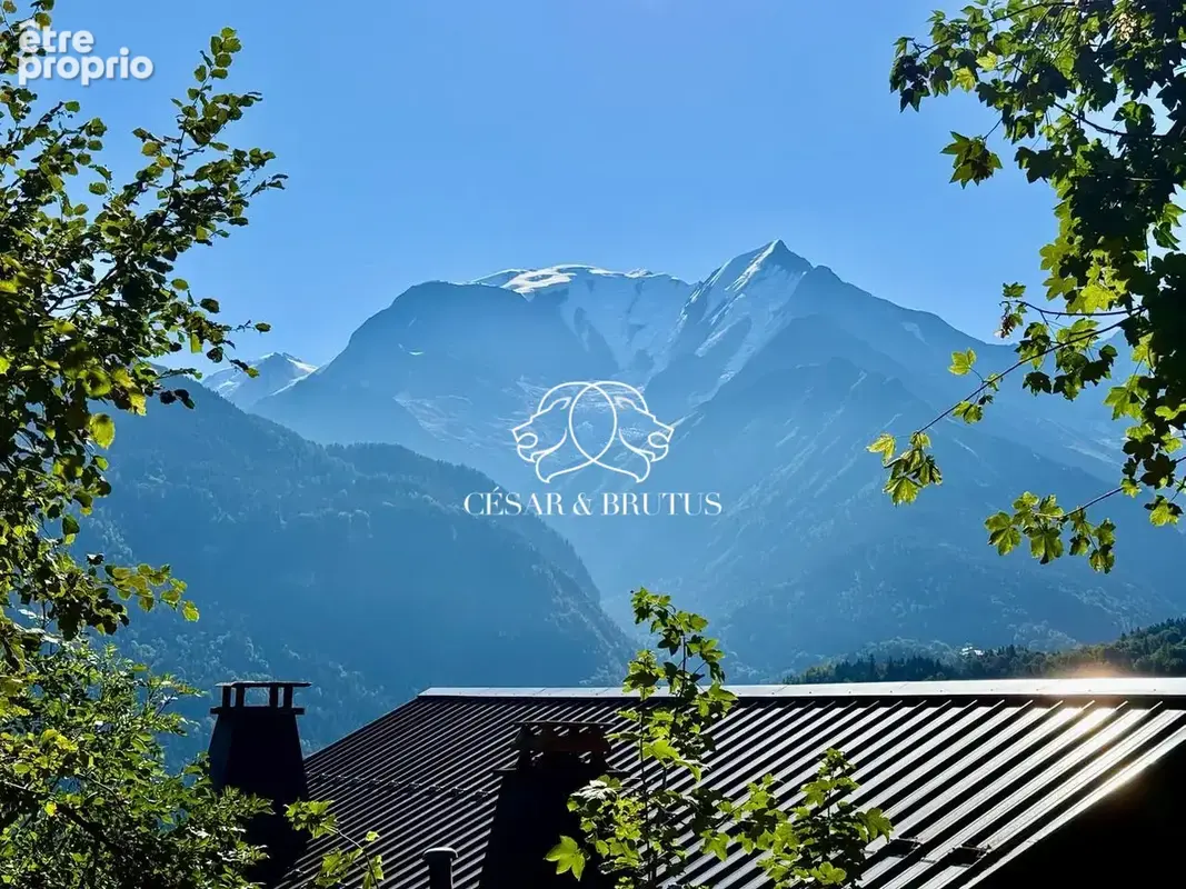 Terrain 919 m² à vendre à Saint-Gervais-Les-Bains (74170) - photo 2