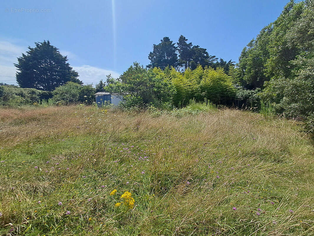 Terrain à PIRIAC-SUR-MER