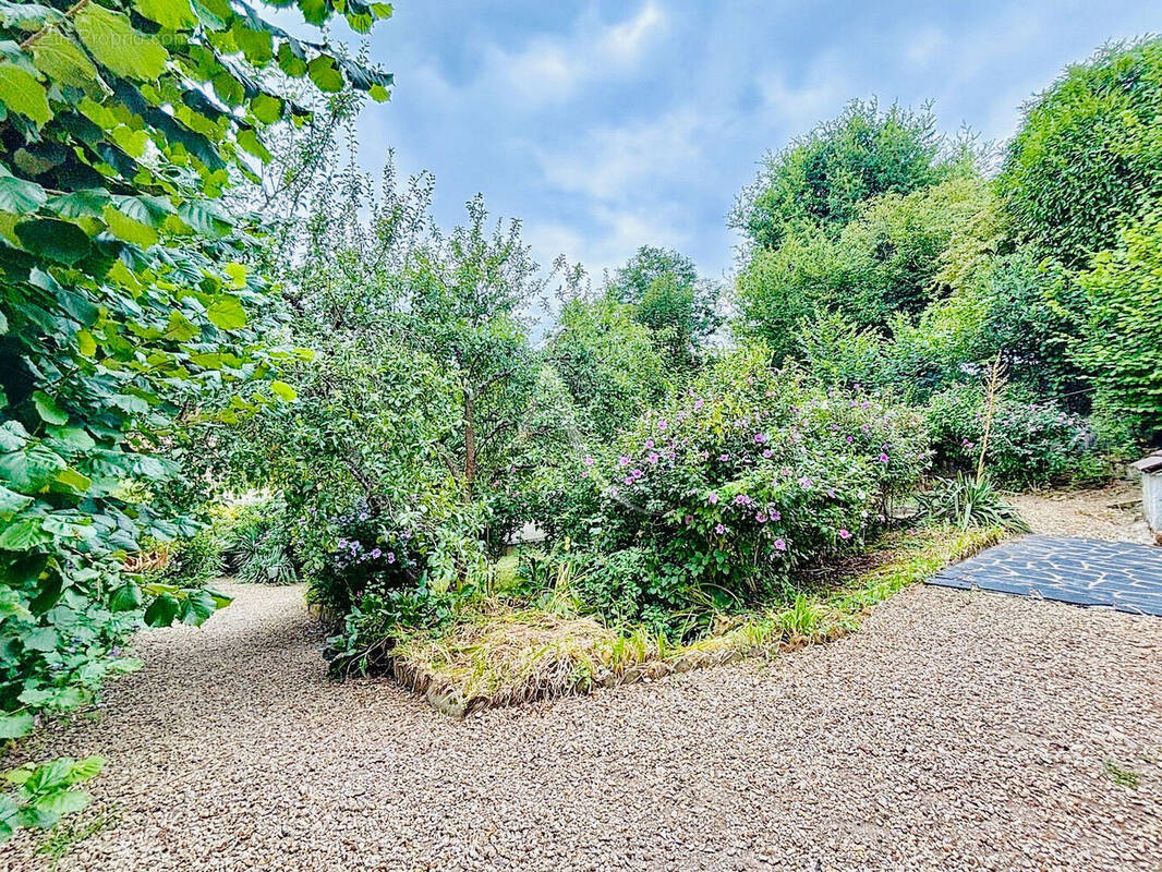 Terrain à CREGY-LES-MEAUX