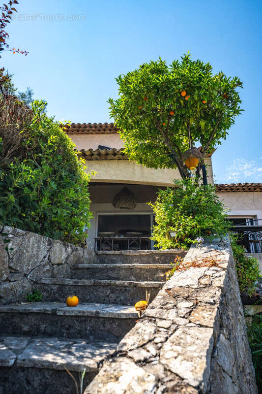 Maison avec pleine vue mer et iles de lerins - photo 12
