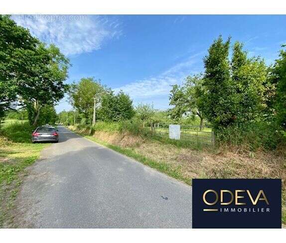 Terrain à CONDE-SUR-VIRE