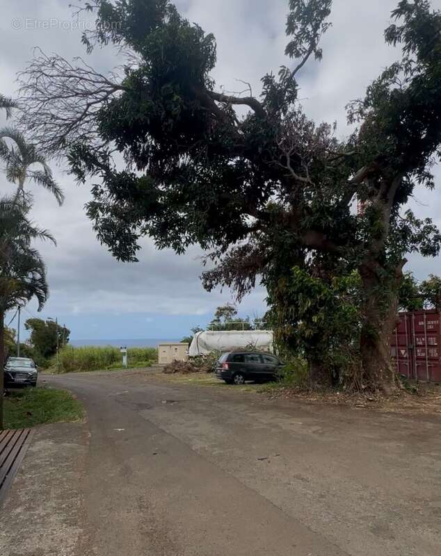 Terrain à SAINTE-MARIE