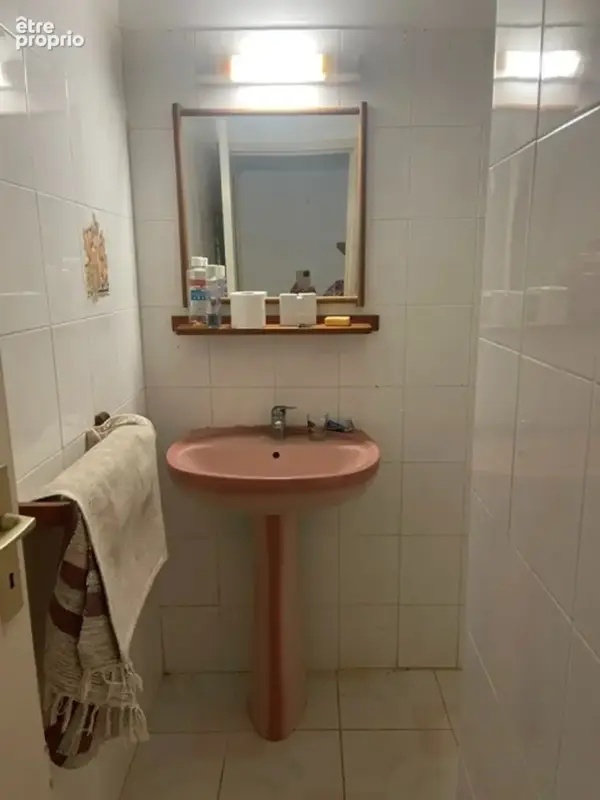 Maison à vendre 3 pièces GOYAVE (971) - photo 23