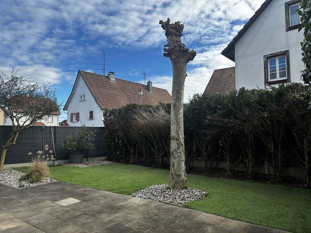 Maison à HEGENHEIM