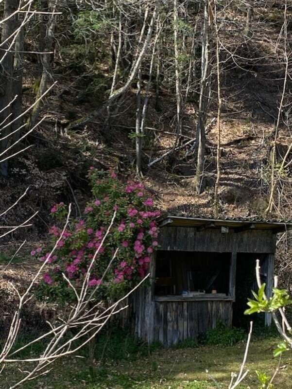 RARE:  Moulin auvergnat authentique au bord d'un ruisseau - photo 5