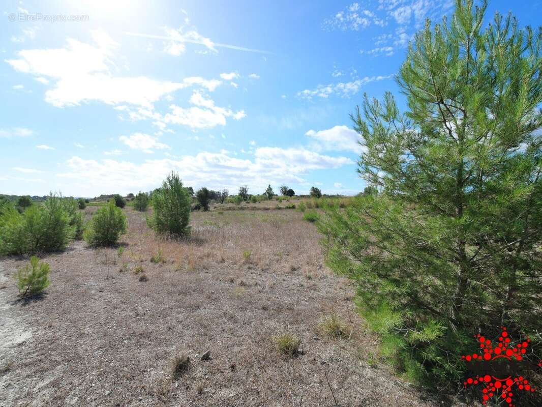 Terrain à QUARANTE