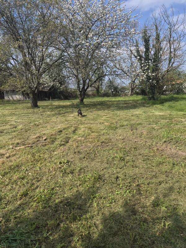 Terrain à SAINT-MEDARD-DE-GUIZIERES