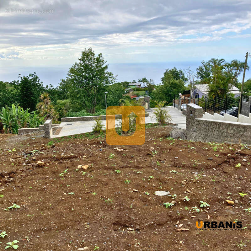 Terrain à SAINT-PAUL