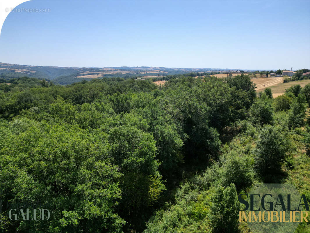 Terrain constructible de 4 526 m2 à Mirandol-Bourgnounac - photo 8