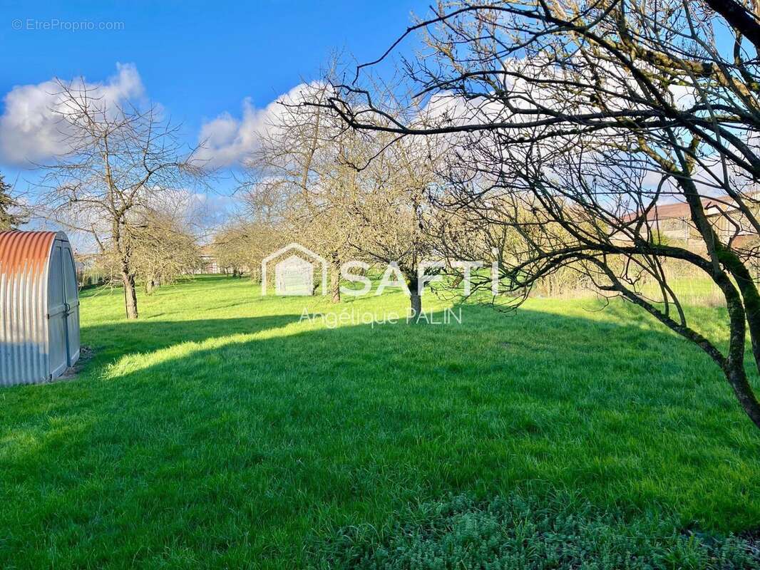 Photo 5 - Maison à SAINTE-MENEHOULD